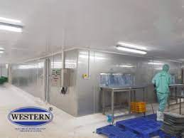 BĂNG CHUYỀN BQF (BLOCK QUICK FREEZER)