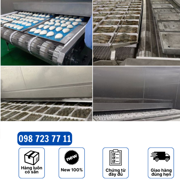 băng chuyền iqf dạng lưới 1
