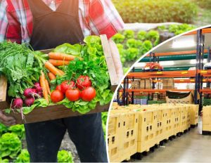 Kho mát bảo quản nông sản