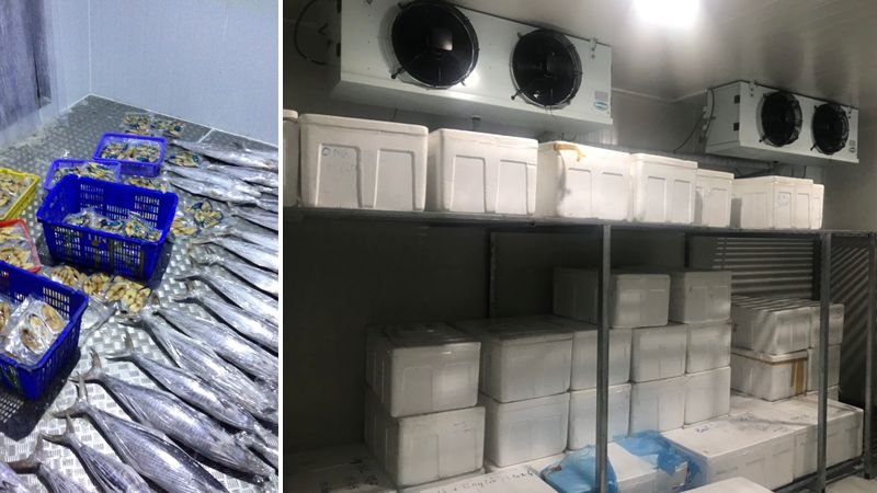 kho đông lạnh hải sản