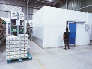 Lắp đặt kho lạnh công nghiệp