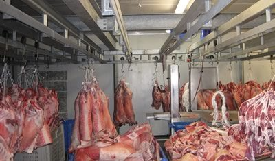 Kho lạnh bảo quản thịt bò