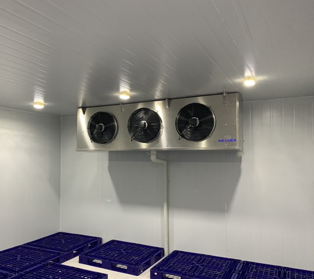 Thiết kế kho đông lạnh sầu riêng