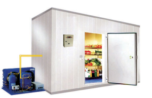 Thiết kế kho lạnh bảo quản rau quả