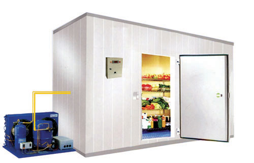 Thiết kế kho lạnh bảo quản rau quả