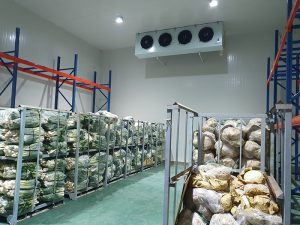 Lắp kho lạnh bảo quản
