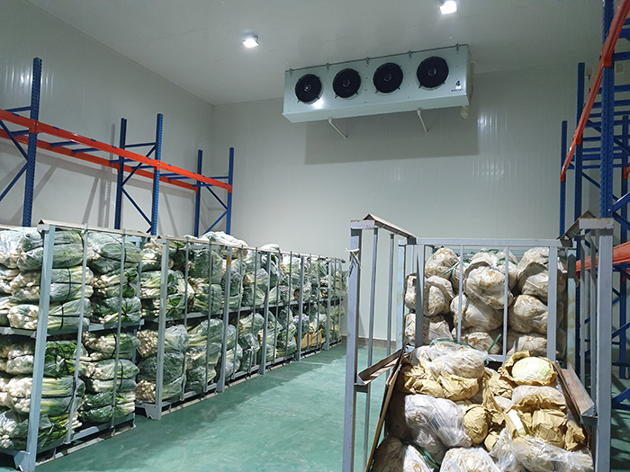 Lắp kho lạnh bảo quản