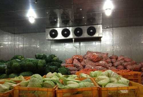 Nhiệt độ kho lạnh bảo quản rau tươi