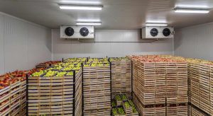 Thiết Kế Bảo Quản Lạnh Nông Sản