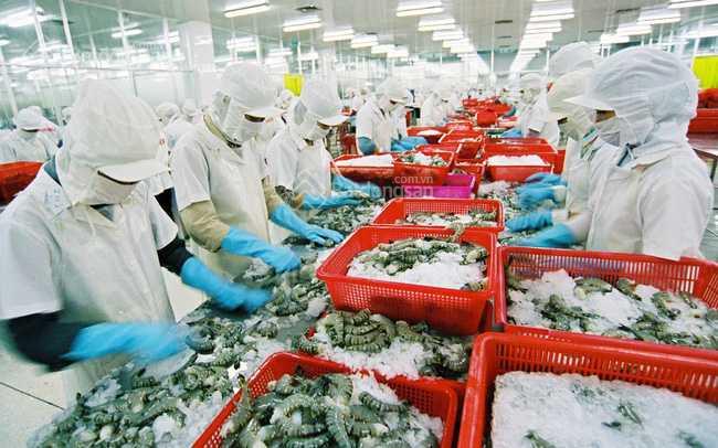 nhà máy chế biến thuỷ sản hạ long